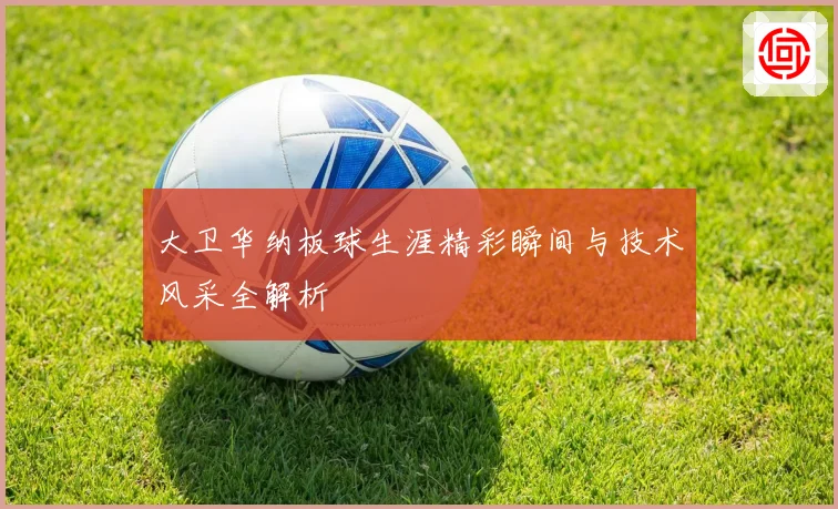 大卫华纳板球生涯精彩瞬间与技术风采全解析