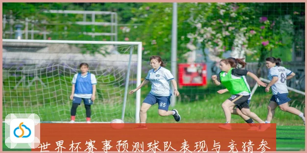 世界杯赛事预测球队表现与竞猜参与策略精准竞猜数据研判