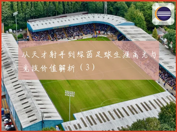 从天才射手到绿茵足球生涯高光与竞技价值解析（3）