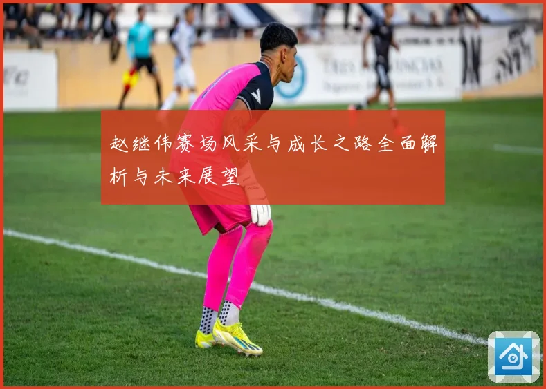 赵继伟赛场风采与成长之路全面解析与未来展望
