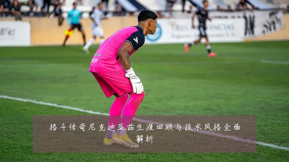 格斗传奇尼克迪亚兹生涯回顾与技术风格全面解析