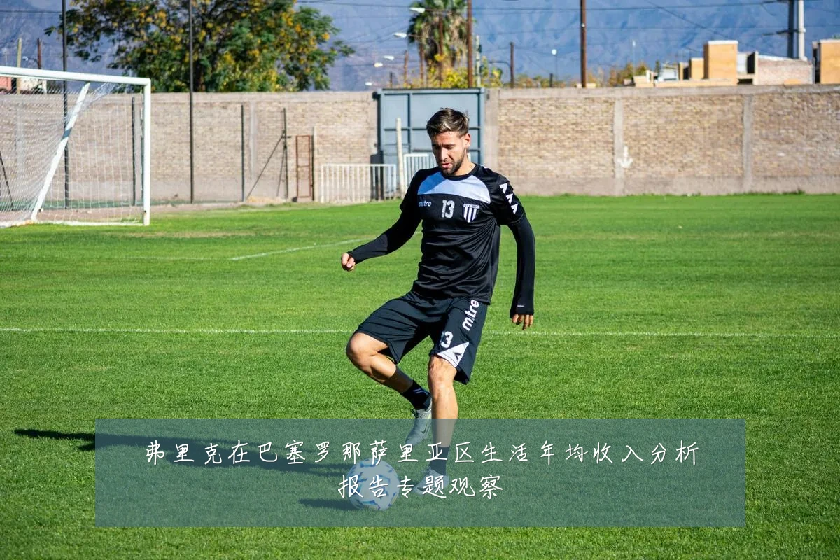 弗里克在巴塞罗那萨里亚区生活年均收入分析报告专题观察